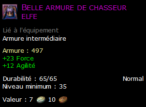 Belle armure de chasseur elfe