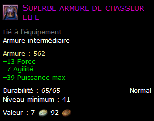 Superbe armure de chasseur elfe