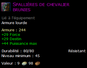 Spallières de chevalier brunies