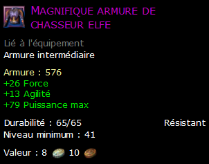 Magnifique armure de chasseur elfe