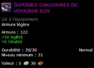 Superbes chaussures de voyageur elfe