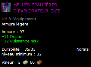 Belles spallières d'explorateur elfe