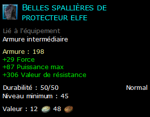 Belles spallières de protecteur elfe