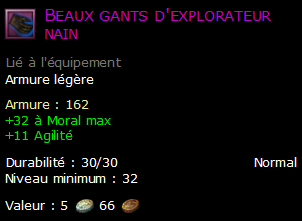 Beaux gants d'explorateur nain