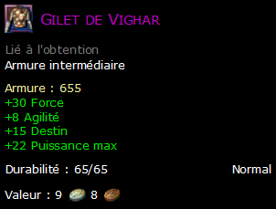 Gilet de Vighar