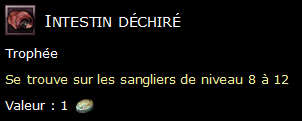 Intestin déchiré