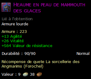 Heaume en peau de mammouth des glaces