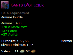 Gants d'officier