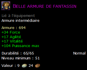 Belle armure de fantassin