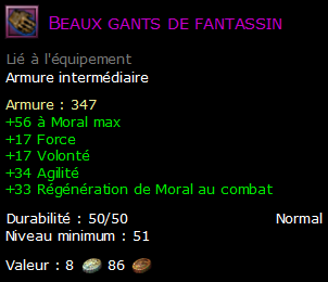 Beaux gants de fantassin