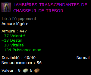 Jambières transcendantes de chasseur de trésor