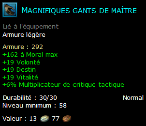 Magnifiques gants de maître