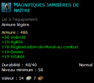 Magnifiques jambières de maître