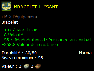 Bracelet luisant