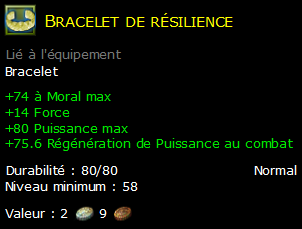 Bracelet de résilience