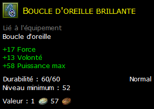 Boucle d'oreille brillante