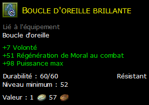 Boucle d'oreille brillante