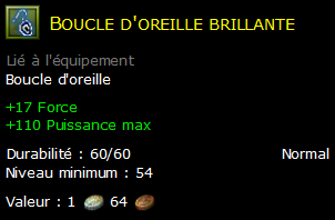 Boucle d'oreille brillante