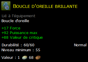 Boucle d'oreille brillante