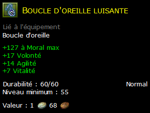 Boucle d'oreille luisante