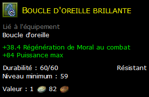 Boucle d'oreille brillante