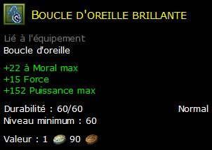 Boucle d'oreille brillante