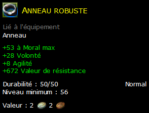 Anneau robuste