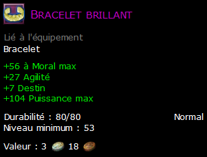 Bracelet brillant