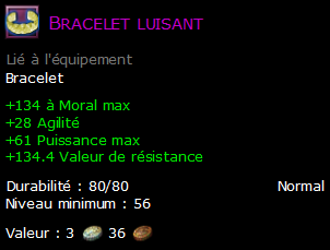 Bracelet luisant