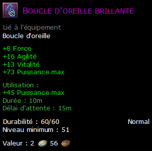 Boucle d'oreille brillante