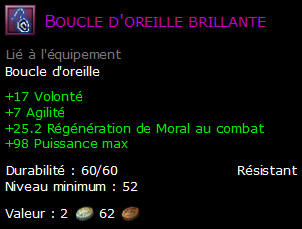 Boucle d'oreille brillante