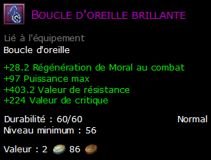 Boucle d'oreille brillante