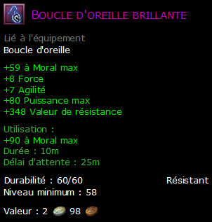 Boucle d'oreille brillante