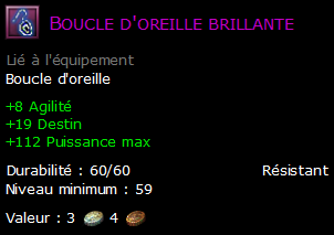 Boucle d'oreille brillante