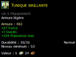 Tunique brillante