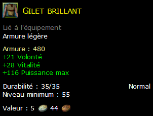 Gilet brillant