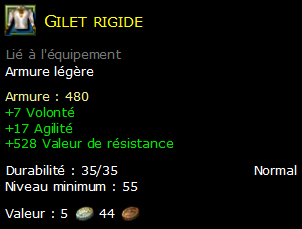 Gilet rigide