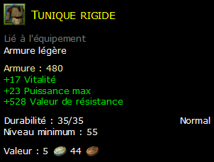 Tunique rigide