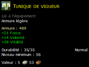 Tunique de vigueur