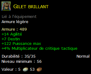 Gilet brillant