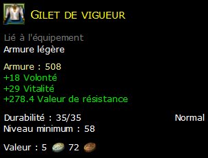 Gilet de vigueur