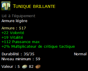 Tunique brillante