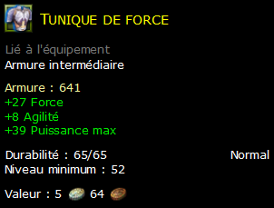 Tunique de force