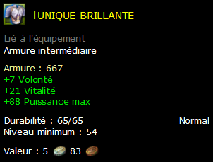 Tunique brillante