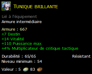 Tunique brillante