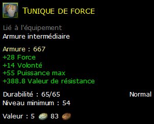 Tunique de force