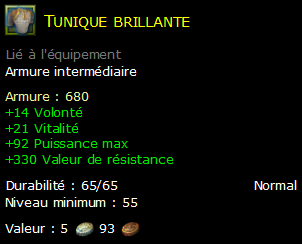 Tunique brillante