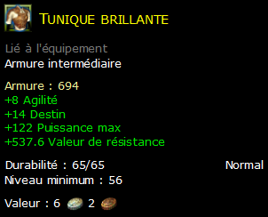 Tunique brillante