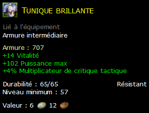 Tunique brillante