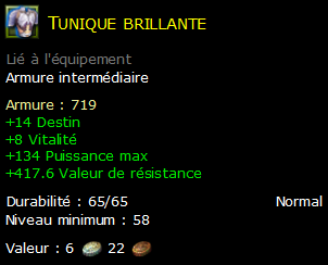 Tunique brillante